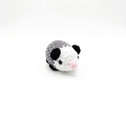 Outgoing Opossum